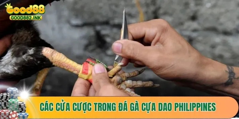 Trực Tiếp Đá Gà Cựa Dao Philippines Gay Cấn Từng Trận Đấu 4 Đá gà cựa dao Philippines trực tiếp với nhiều cửa cược đặc sắc