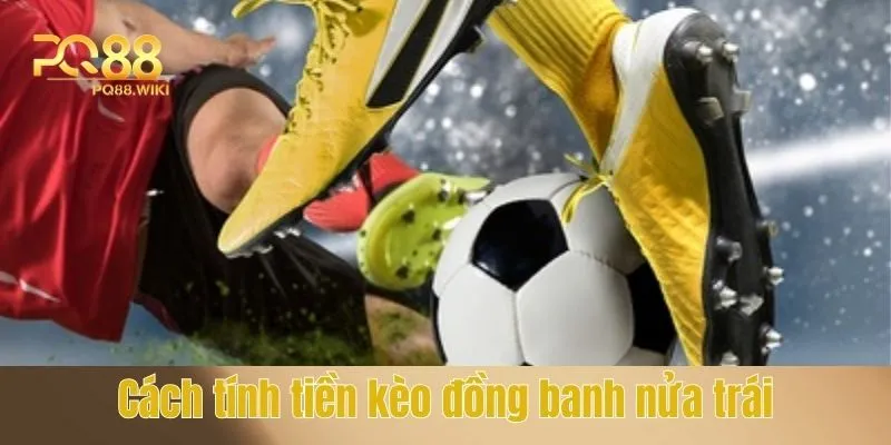 Kèo Đồng Banh Nửa Trái Là Gì - Kinh Nghiệm Đặt Cược Bất Bại 4 Cách tính tiền kèo đồng banh nửa trái là gì