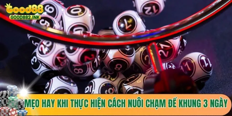 Cách Nuôi Chạm Đề Khung 3 Ngày Hiệu Quả Nhất Từ Các Chuyên Gia 4 Chia sẻ mẹo hay khi thực hiện cách nuôi chạm đề khung 3 ngày