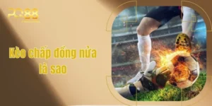 Kèo Chấp Đồng Nửa Là Sao - Kinh Nghiệm Soi Kèo Hiệu Quả  