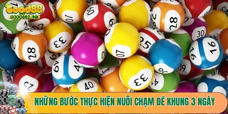 Cách Nuôi Chạm Đề Khung 3 Ngày Hiệu Quả Nhất Từ Các Chuyên Gia 3 Những bước thực hiện cách nuôi chạm đề khung 3 ngày