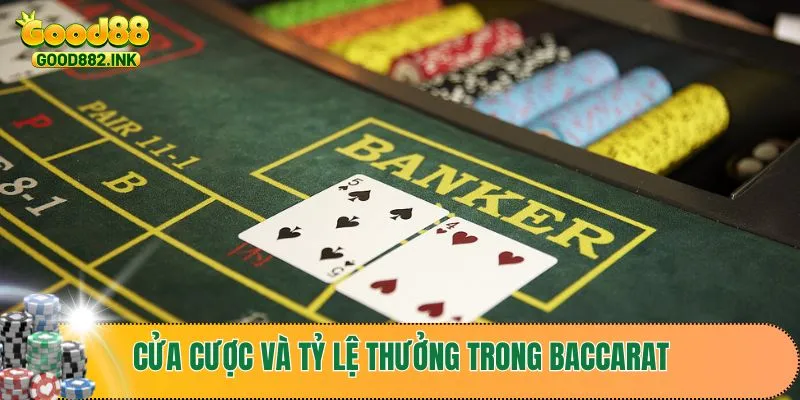 Luật Chơi Baccarat Và Kinh Nghiệm Thắng Lớn Cho Tân Thủ 3 Những cửa cược và tỷ lệ thưởng trong baccarat