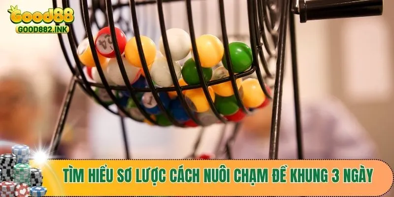 Cách Nuôi Chạm Đề Khung 3 Ngày Hiệu Quả Nhất Từ Các Chuyên Gia 2 Tìm hiểu sơ lược cách nuôi chạm đề khung 3 ngày
