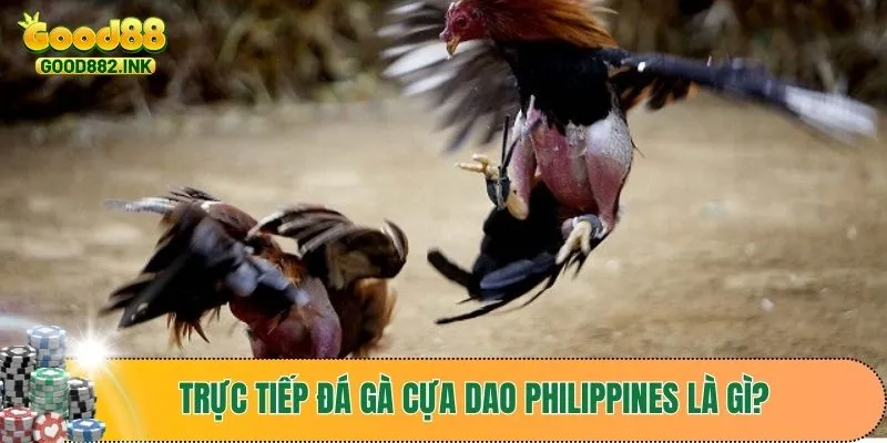 Trực Tiếp Đá Gà Cựa Dao Philippines Gay Cấn Từng Trận Đấu 2 Đôi nét về trực tiếp đá gà cựa dao Philippines tại GOOD88